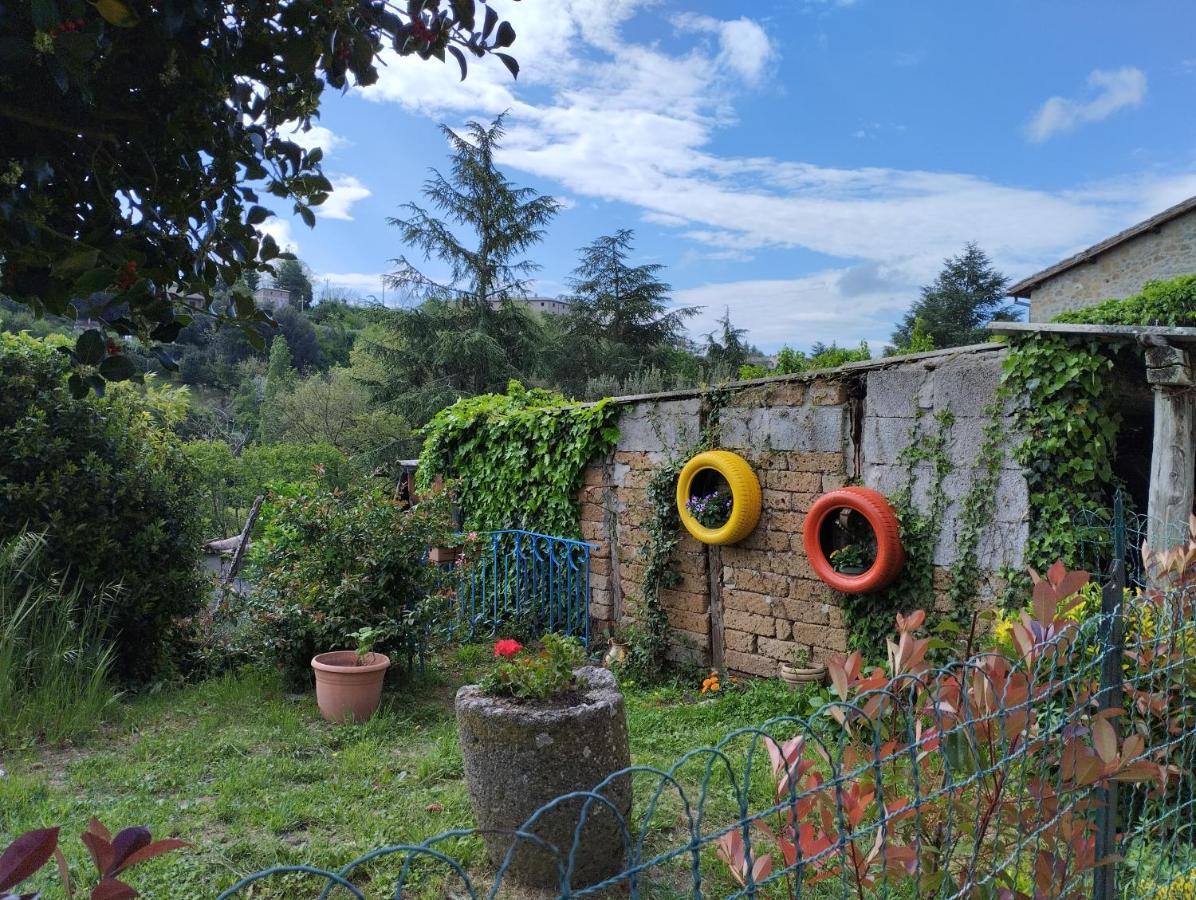 Casavacanzetorresansevero Orvieto Eksteriør billede