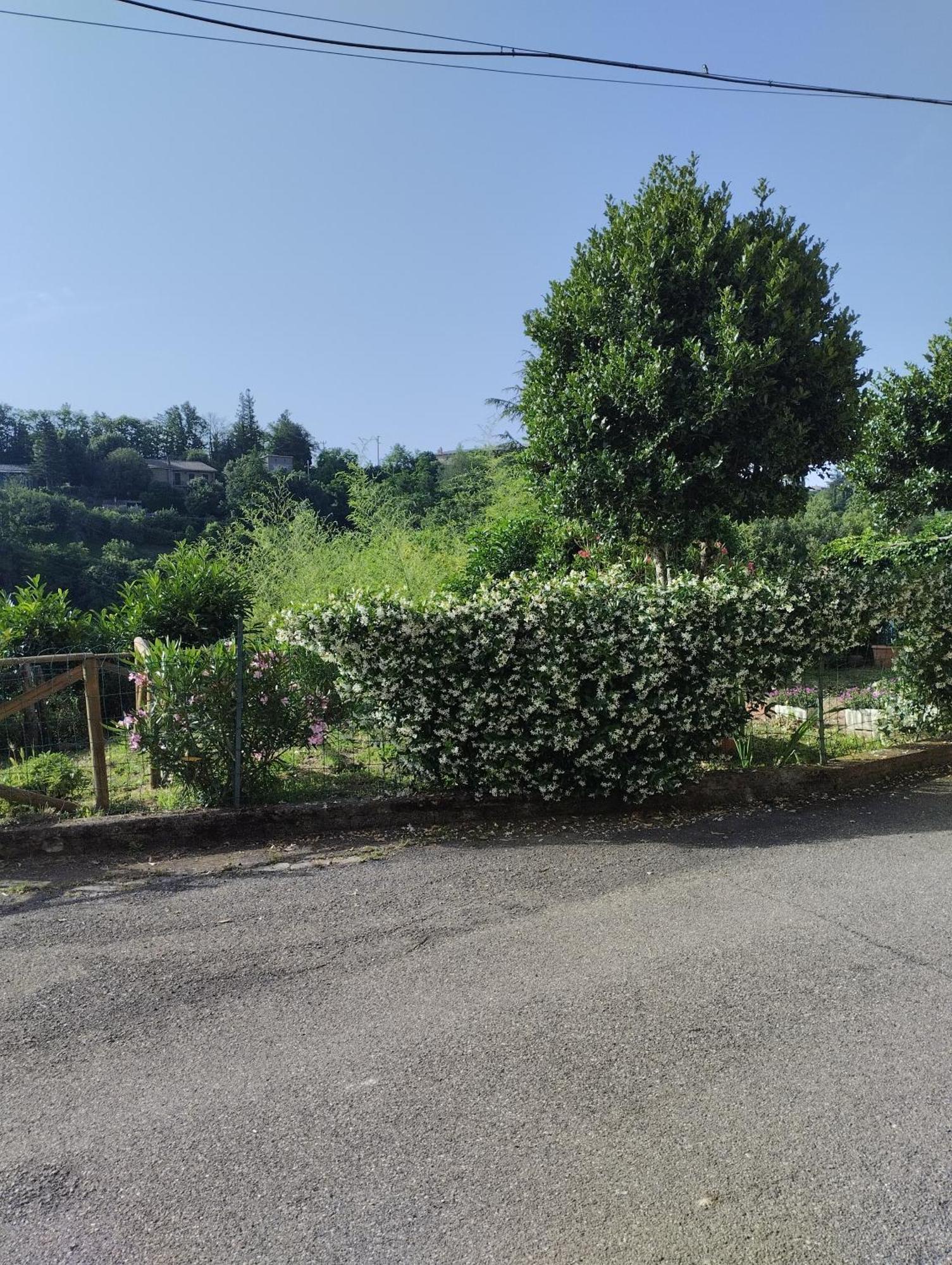 Casavacanzetorresansevero Orvieto Eksteriør billede